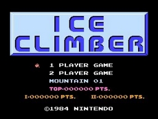 Ice Climber in-game