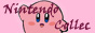 Nintendo Collec'