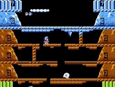 Ice Climber in-game