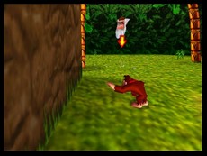 Donkey Kong 64 in-game